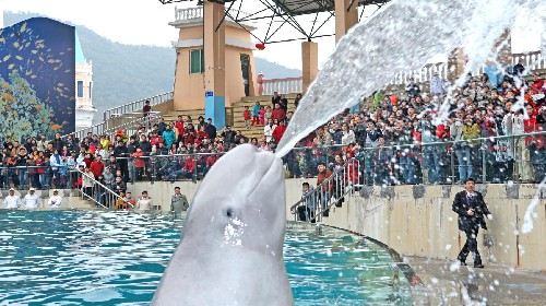 深圳北站到小梅沙怎样坐车?我是从广州坐高铁