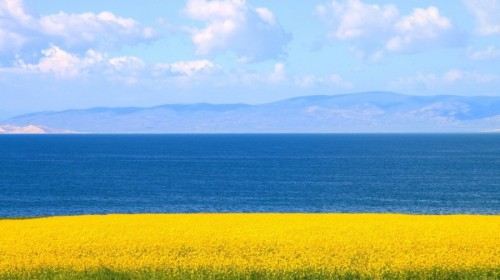 两个人,从西宁出发去青海湖是跟团划算还是包