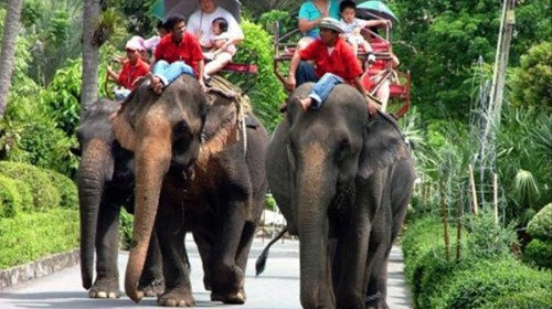 跟团泰国游的价格为什么差别很大-泰国旅游攻