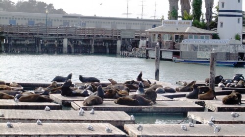 大连万达大厦办理赴日签证的那个地方和森茂大