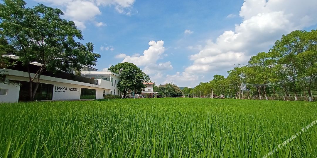罗浮山麦客喜客精品民宿