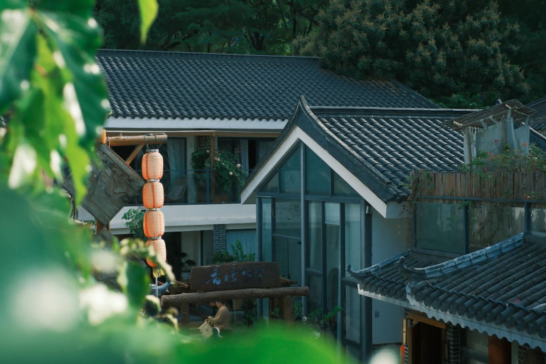 Under the Camphor Tree Guesthouse