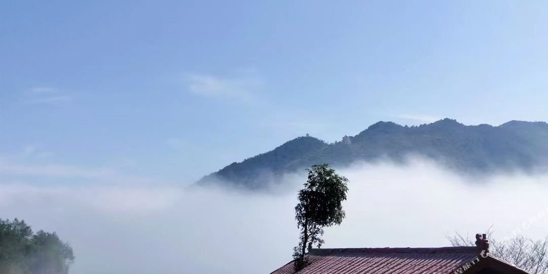 仙岛湖仙龙岛民宿