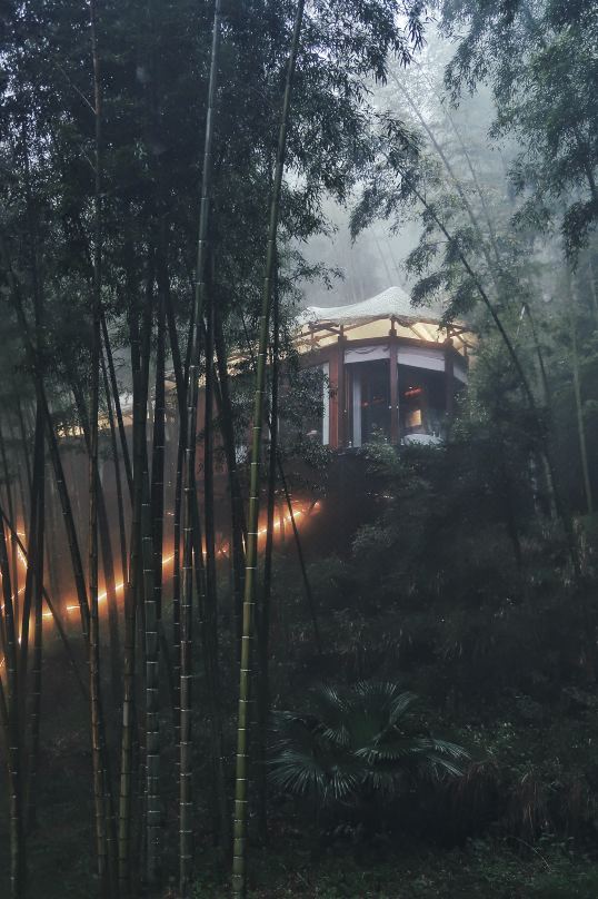 Floral Hotel · Liuyang Huyang xiqinxingu hotel