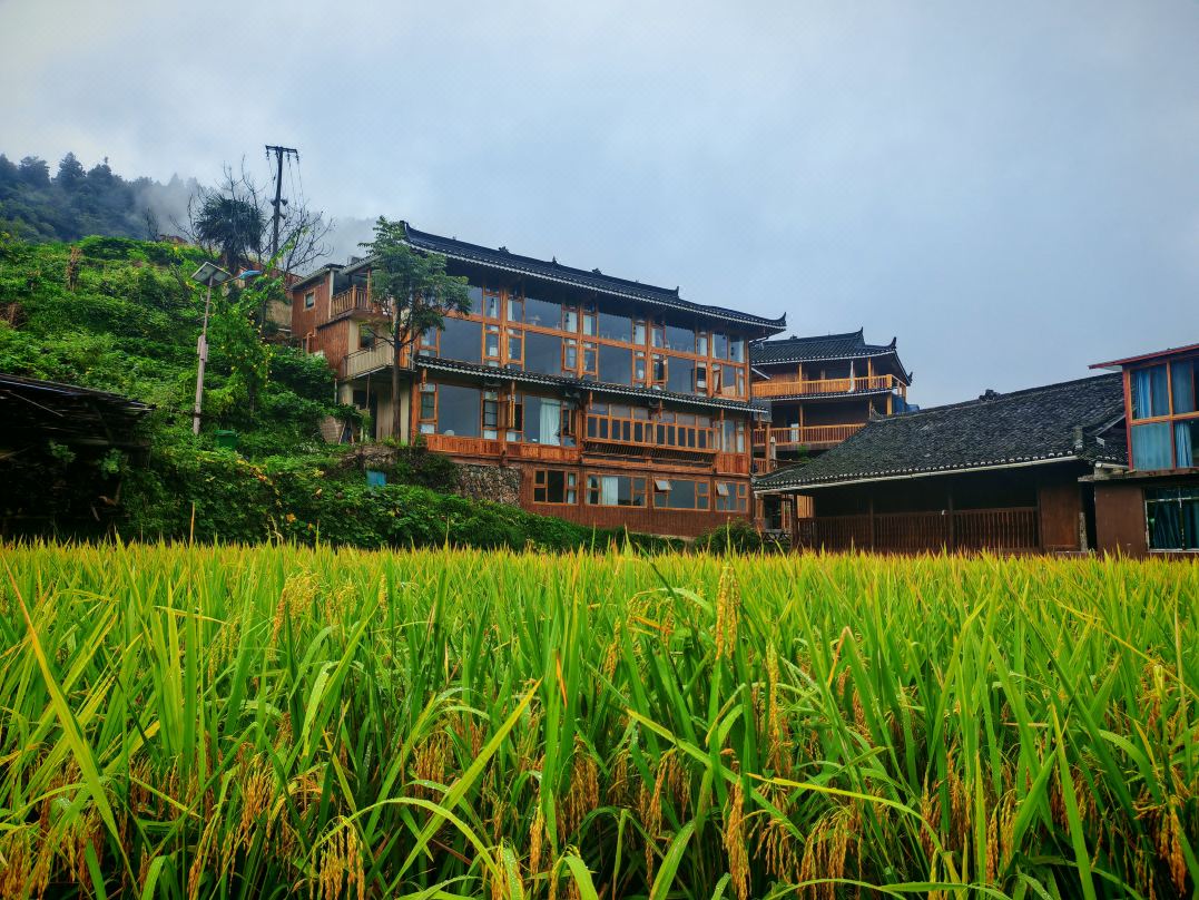 Xijiang Longtang lotus villa