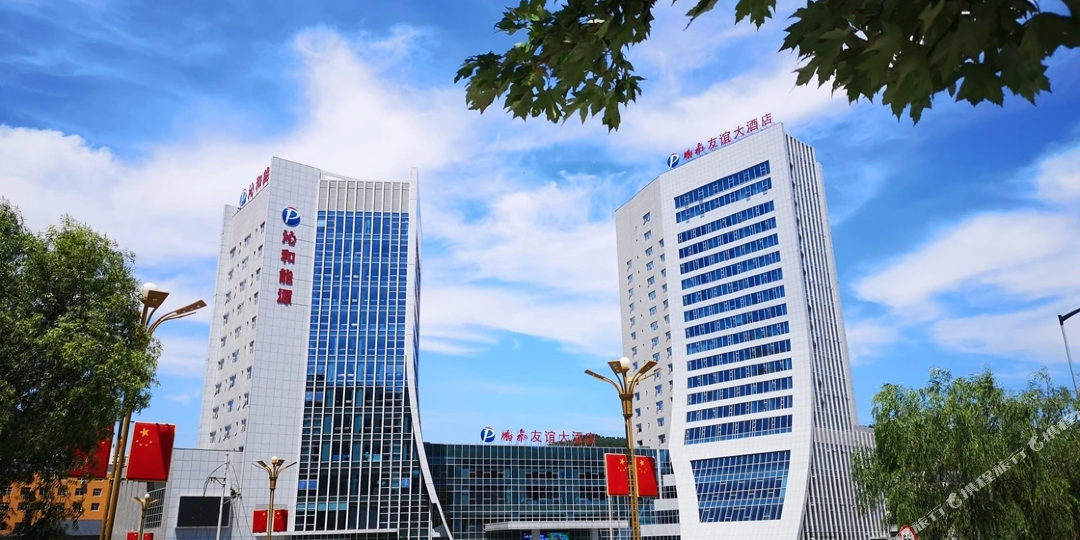 鹏飞友宜大酒店
