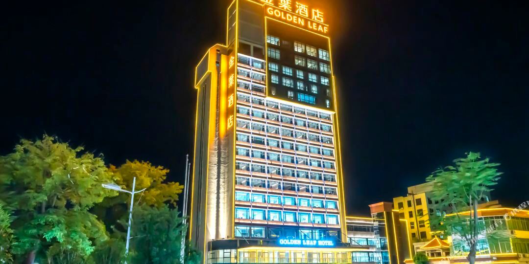金叶九点(河滨路店)