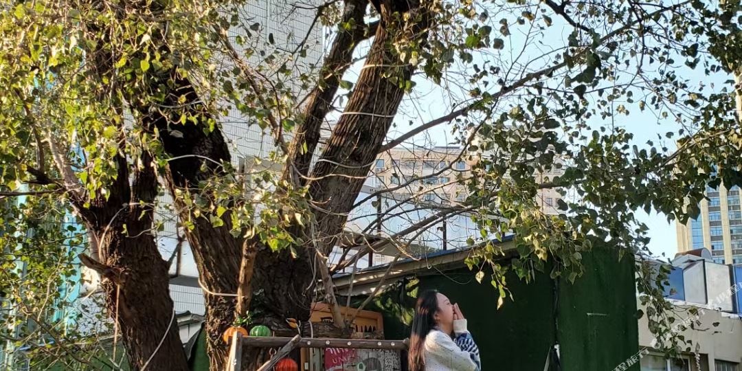 雁西UMA青年旅舍