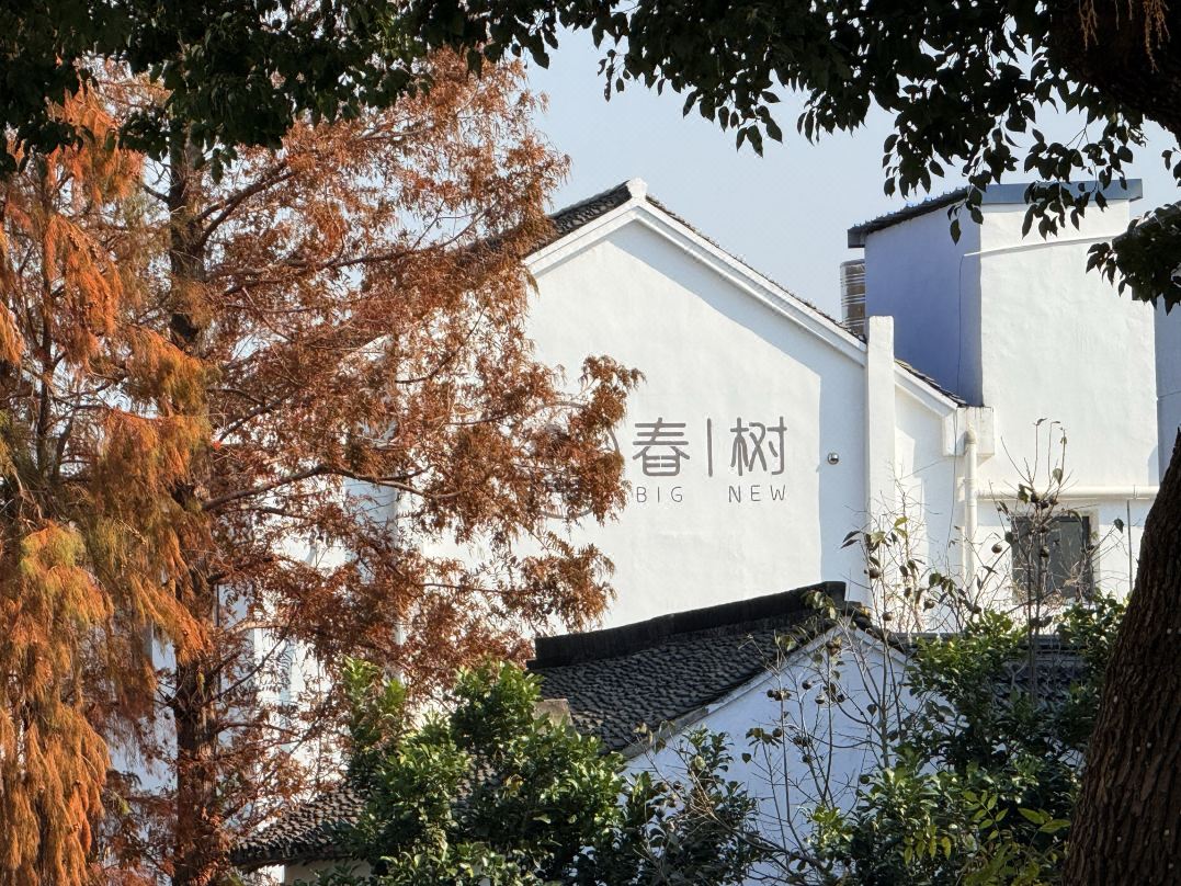 Shanghai Big New B&B