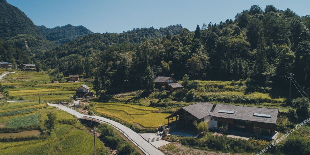隐居乡里·梧桐树民宿