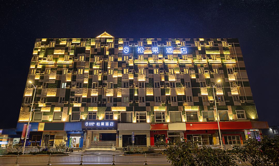 Songguo Hotel (Wenhua Road)
