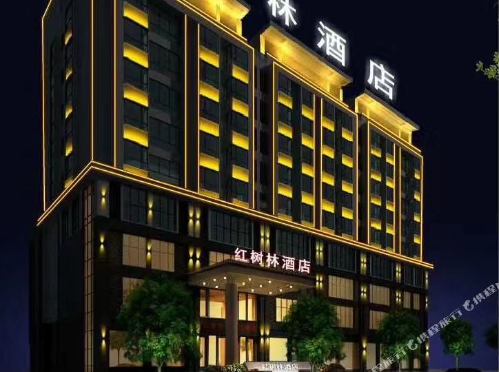 大余县树林酒店
