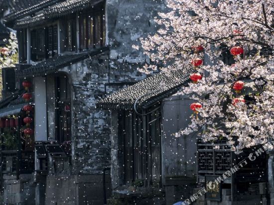 水岸樱花临河客栈