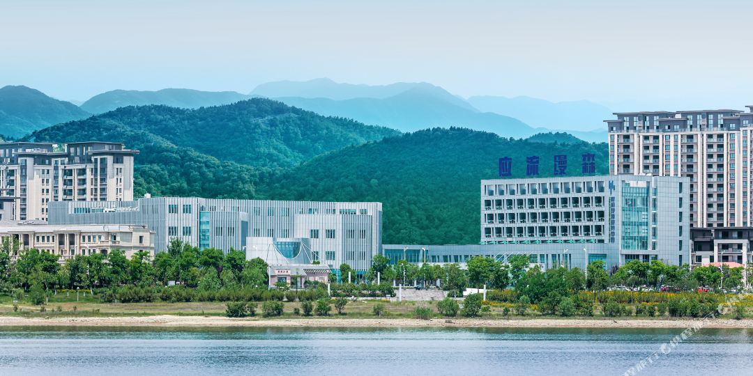 应流缦森接待中新