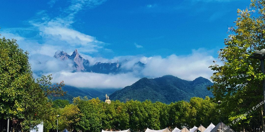 九龙山FREE芳草地露营地