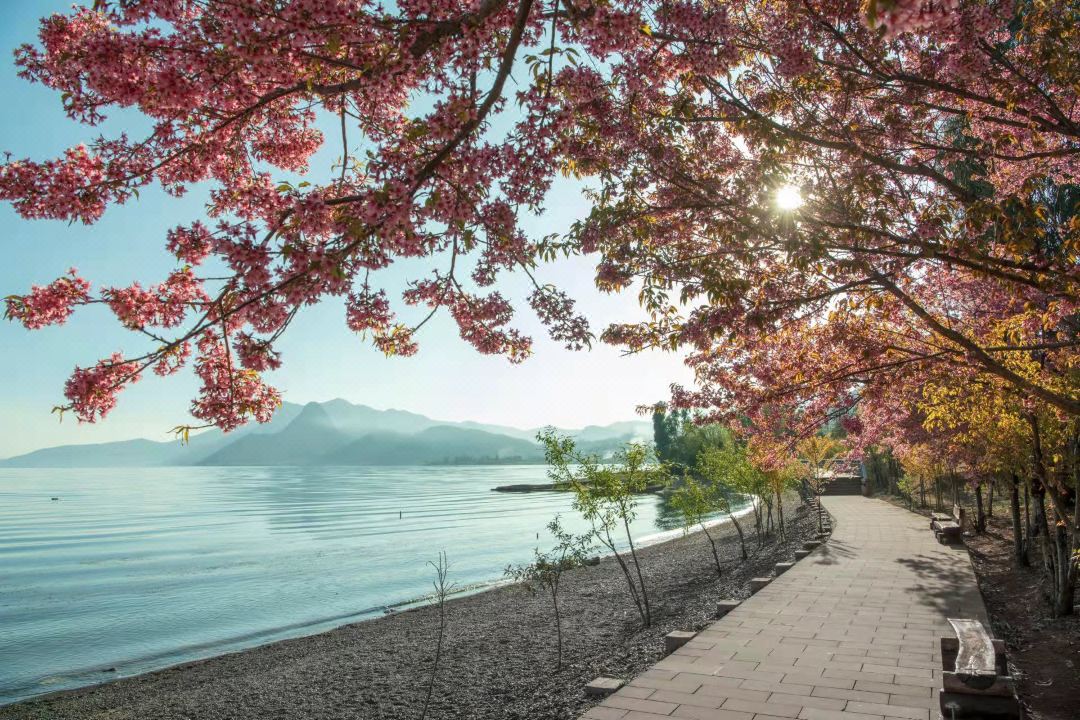 Fuxian Lake Linglong Inn (Guanglong Town)