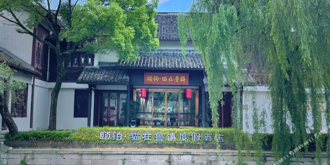 颐铂猫在鲁镇度家酒店