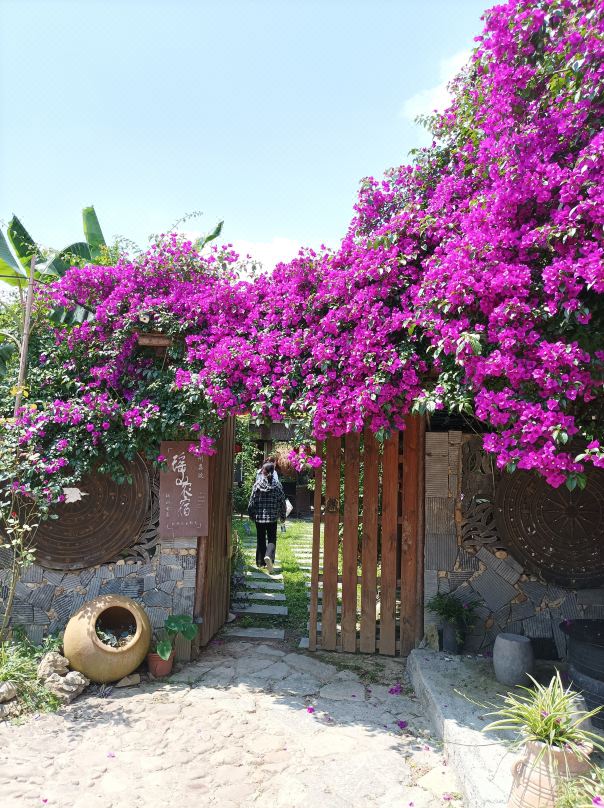 Yao shan farm
