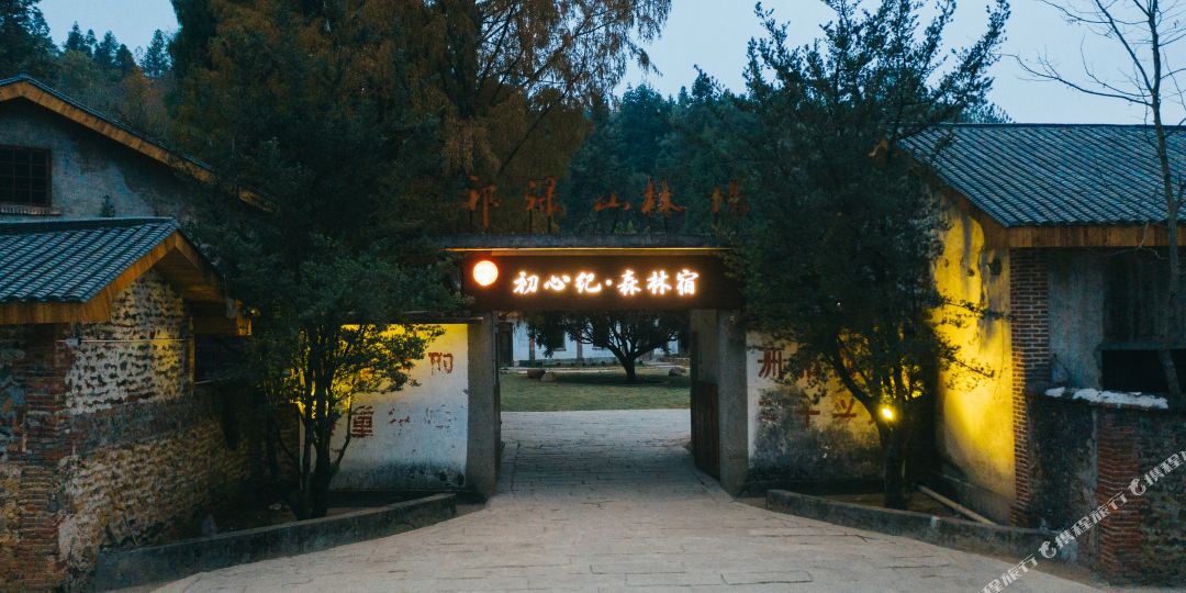 初心纪·深林宿