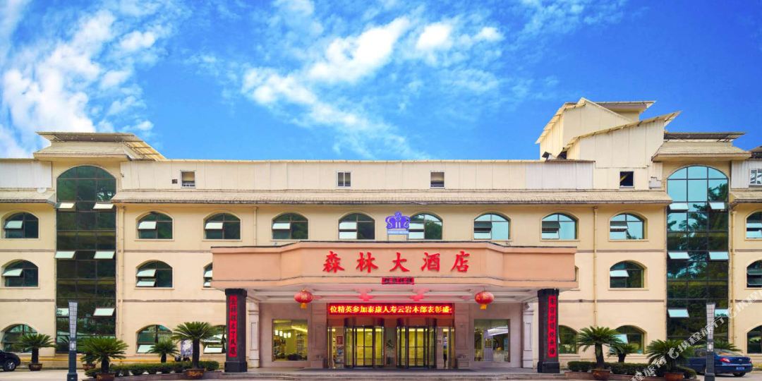 森林大九点(新添寨店)
