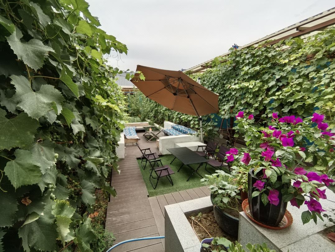 Khorgas Luan Homestay