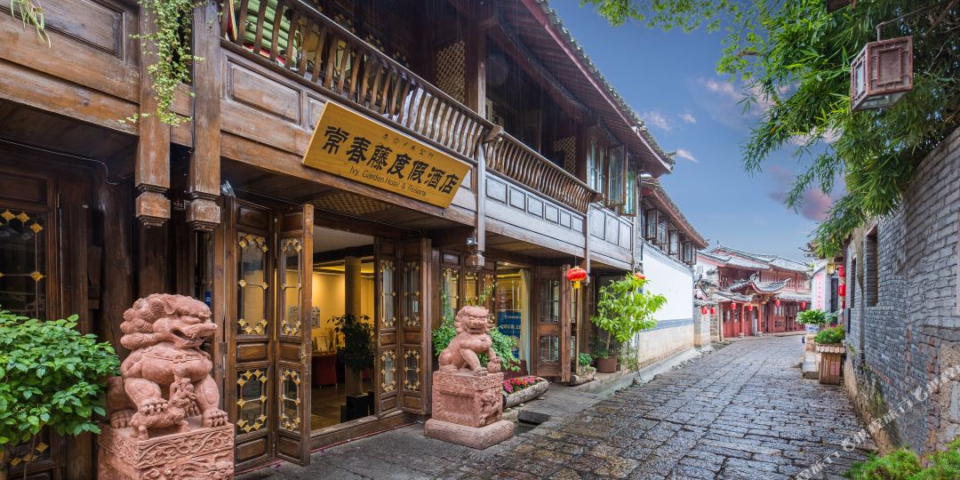 常春藤度假村酒(丽江大研阁店)