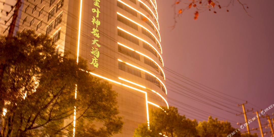 湖南金叶神财大酒店