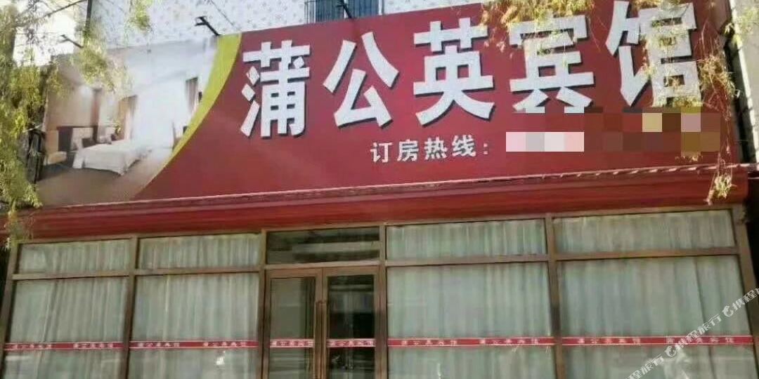 开原挖蒲公英宾