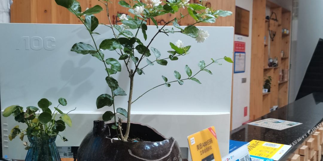 龙虎山吾栖可栈