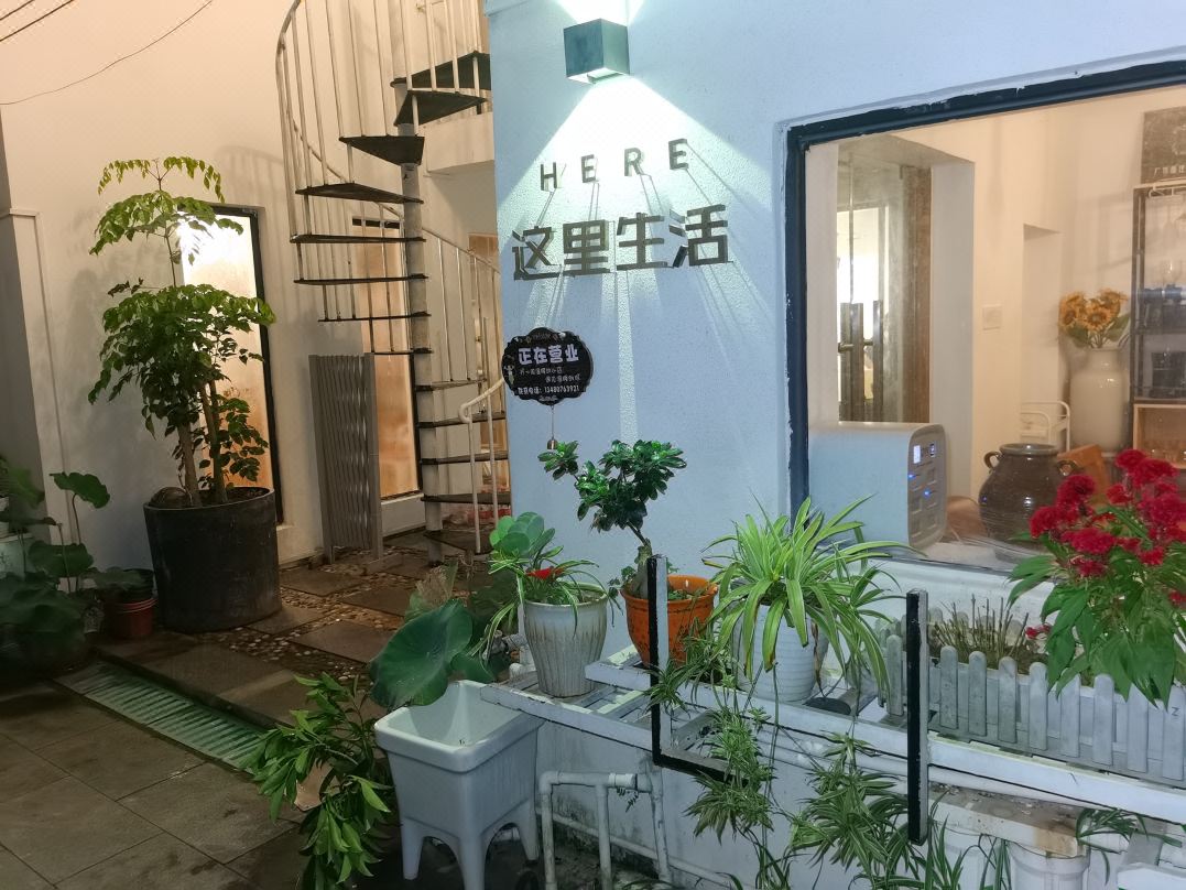 This Is Life Homestay