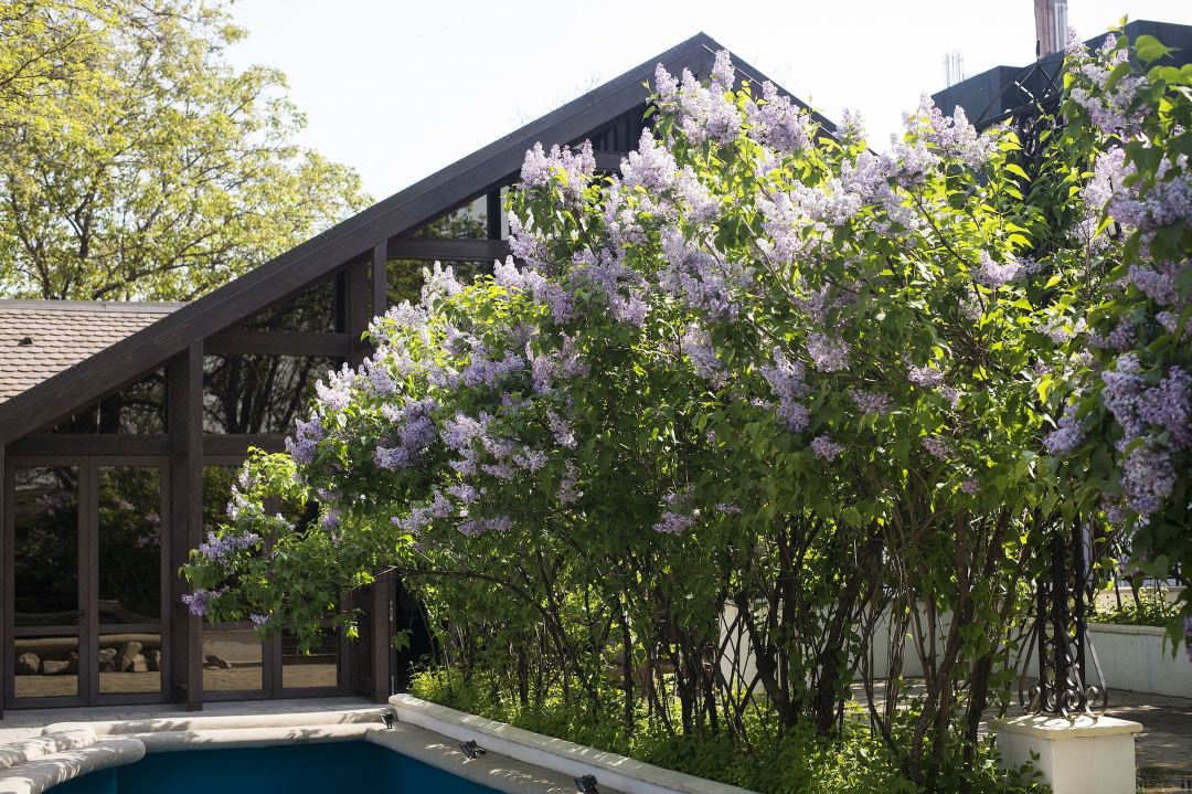 Hotel Bellaria