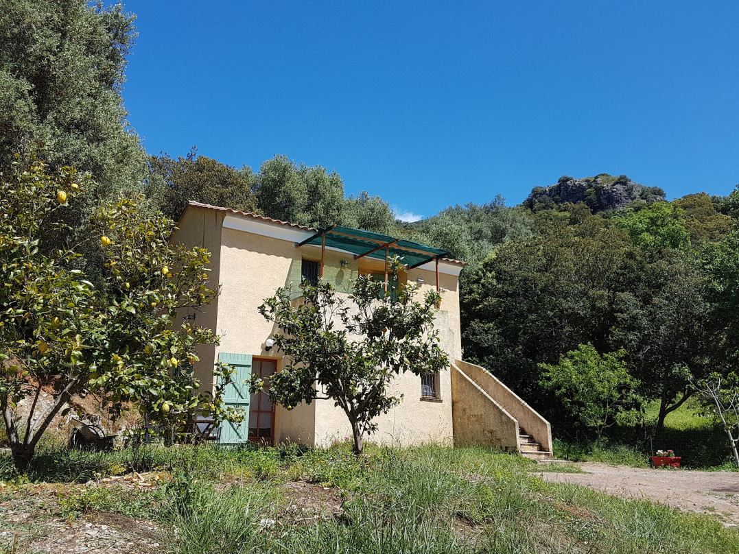 A Casa di l'Alivu