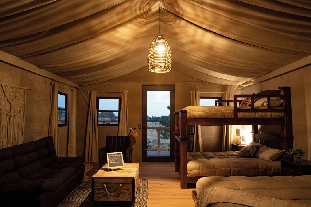 Glamping Reino Animal