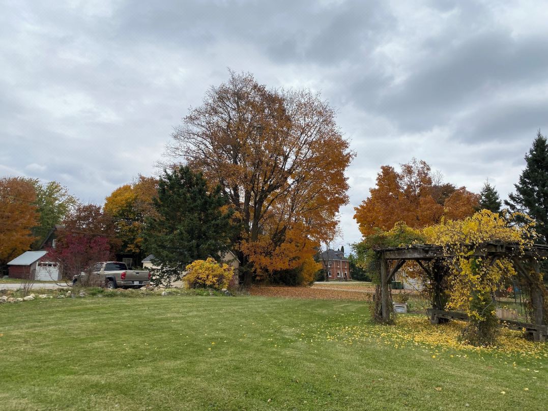 Rocklyn Inn Bed & Breakfast