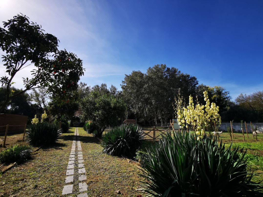 Quinta do Louredo - Évora