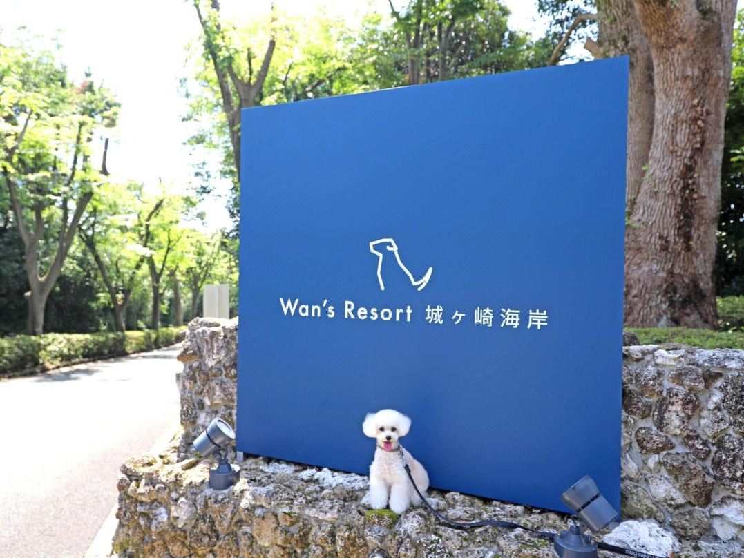 วานส์รีสอร์ท โจกาซากิโคสต์