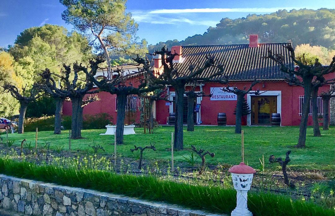 Les Pins Blancs en Provence