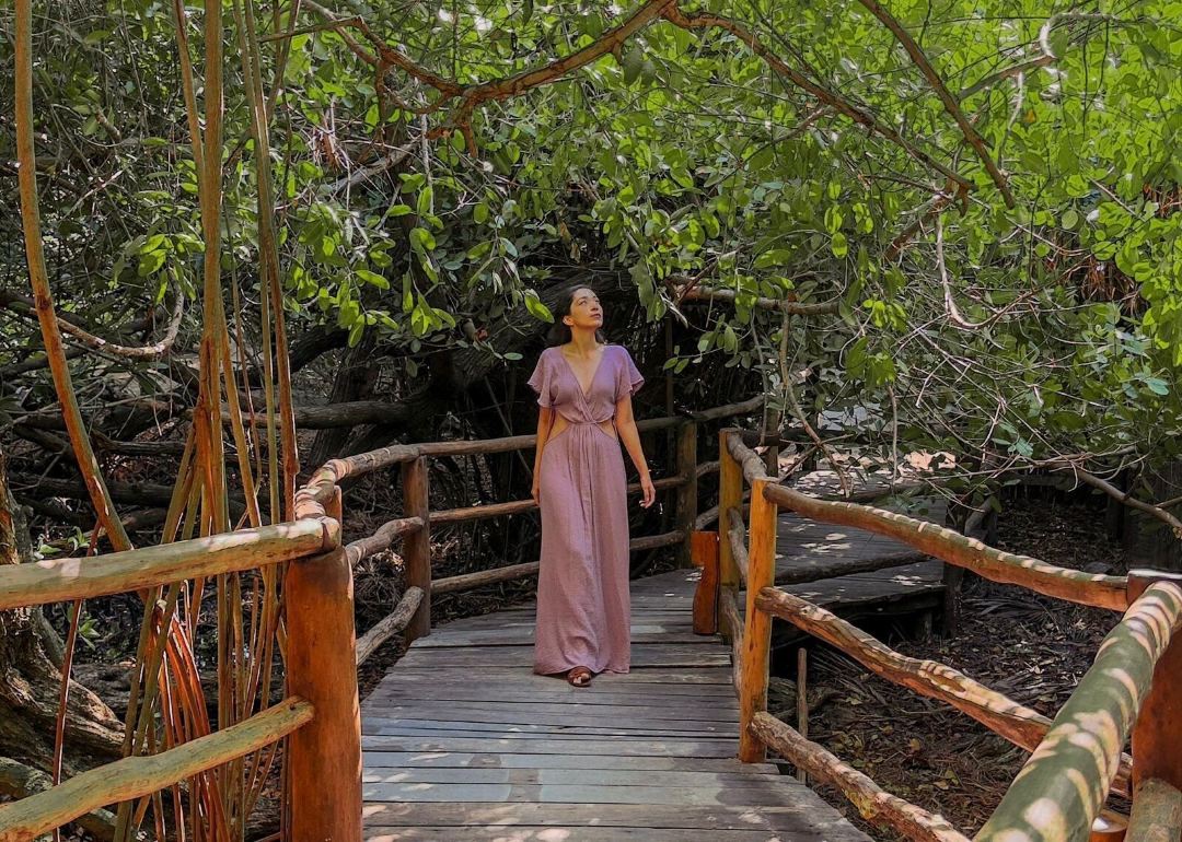 Hippie Chit Jungle House