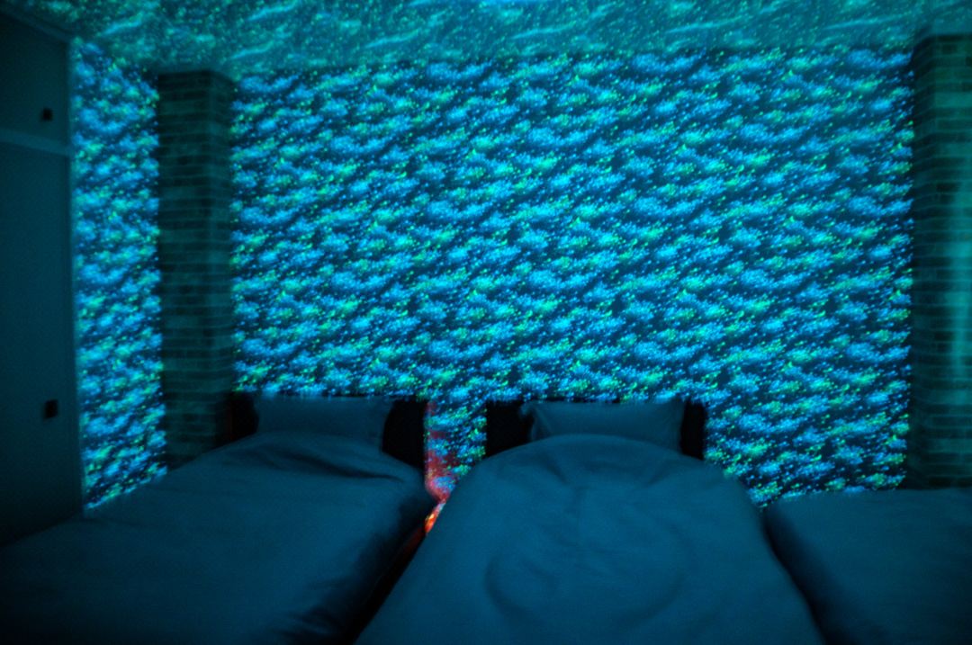 Blue House