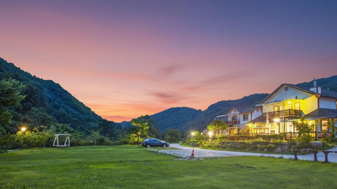 Hwacheon Parprika Yellow Pension