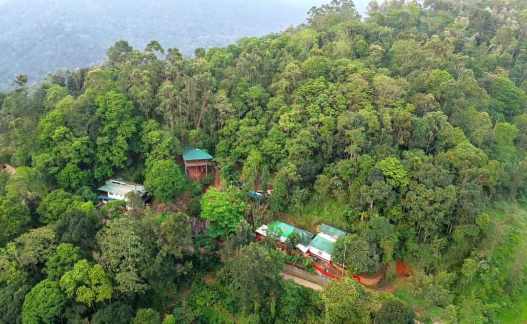 Lux Valley Munnar