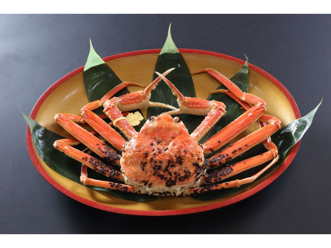 越前海岸 玉川之宿 巖本屋