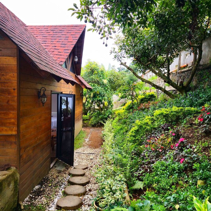 Cabañas Casa Realeza