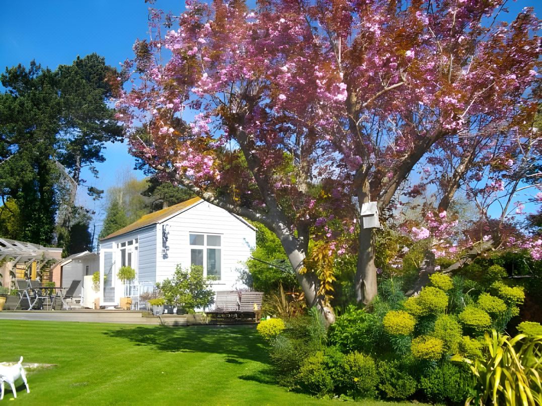 Birch House Bed & Breakfast