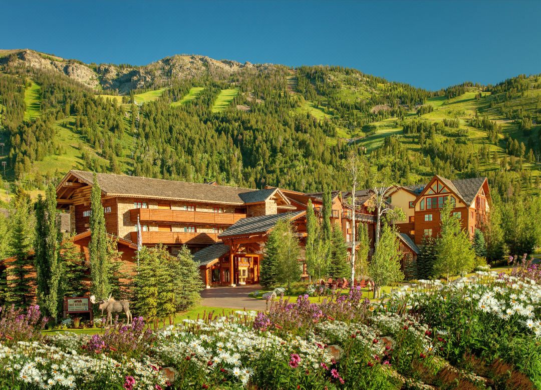 Faraway Jackson Hole