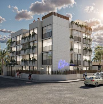 Colmena Marina Cabos