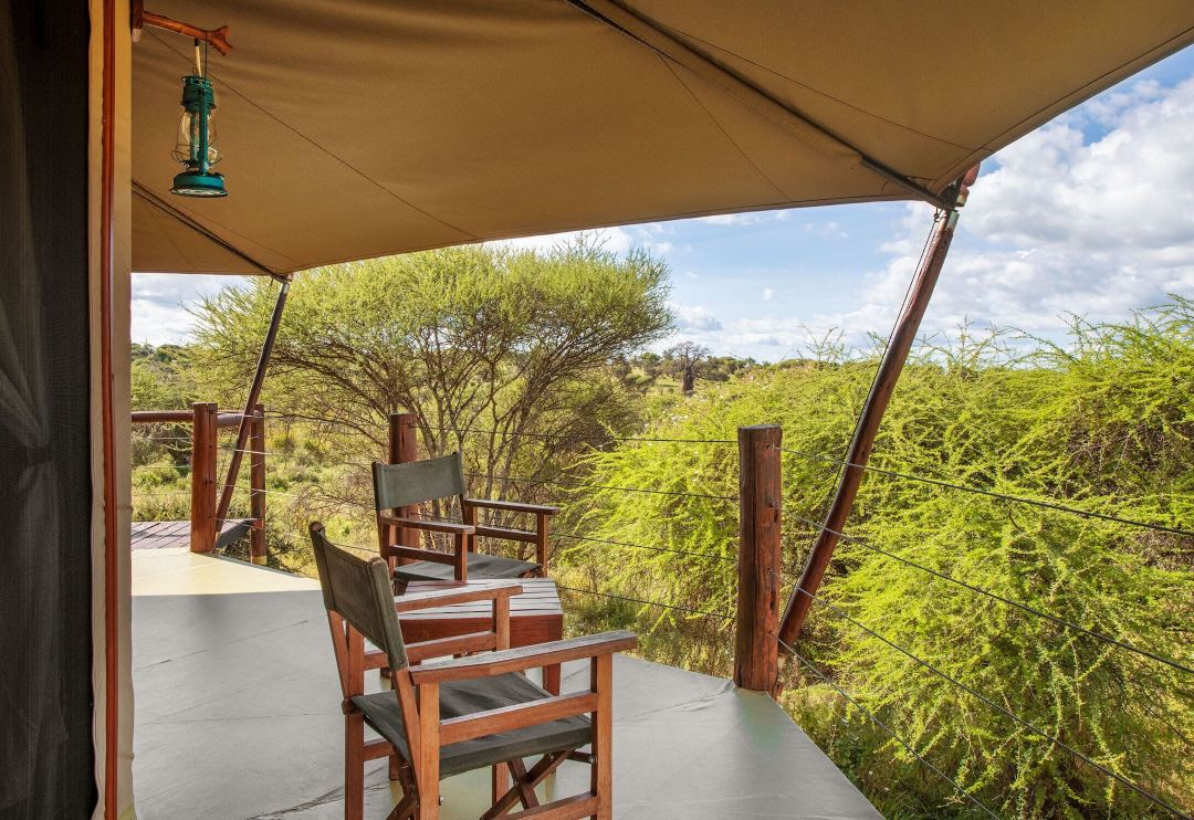 Tarangire Kuro Treetop Lodge