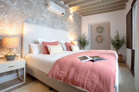 Exclusive apartment in Granada. Horno Marina 9