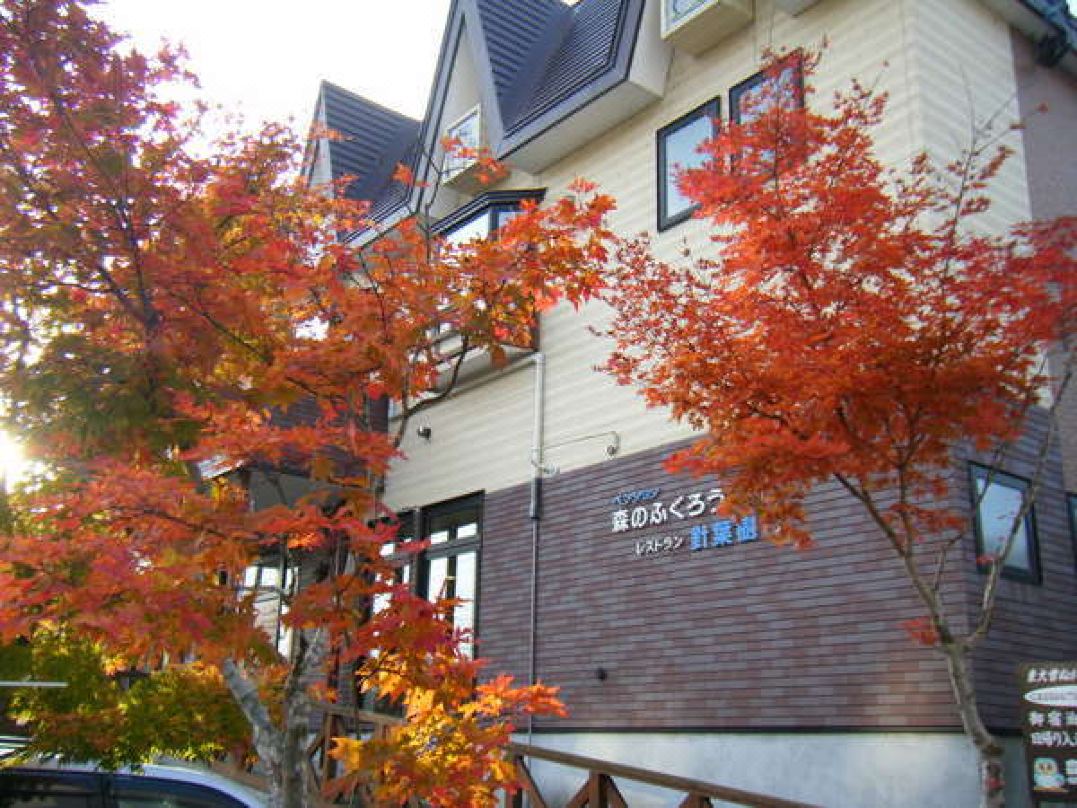 Onsen Pension Mori No Fukuro