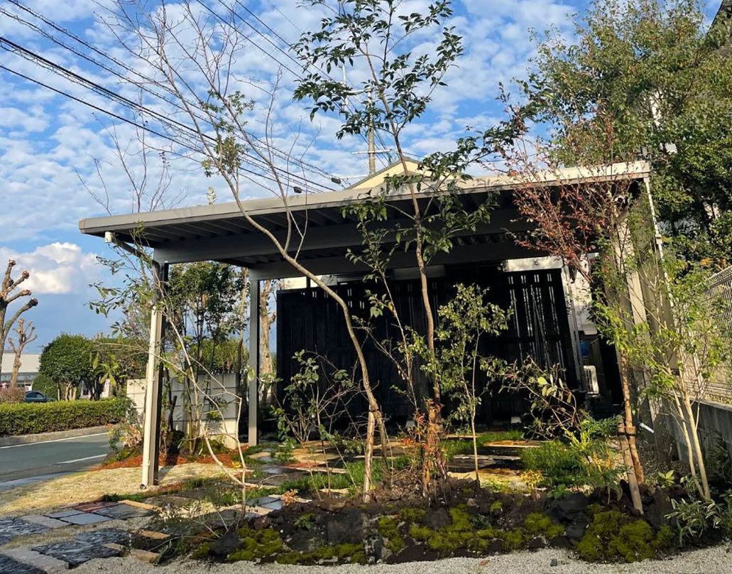 Airport Kikuyo Forest